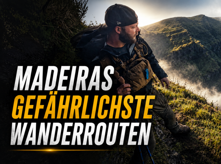 paddyeve Madeira